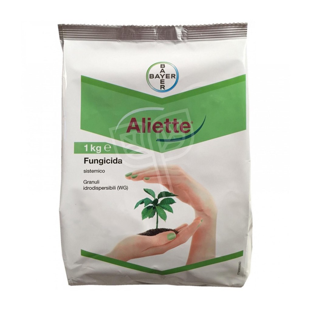 ALIETTE BAYER - KG 1